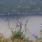 Preikestolen Blick
