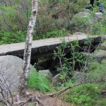 Brücke im Wald am Preikestolen