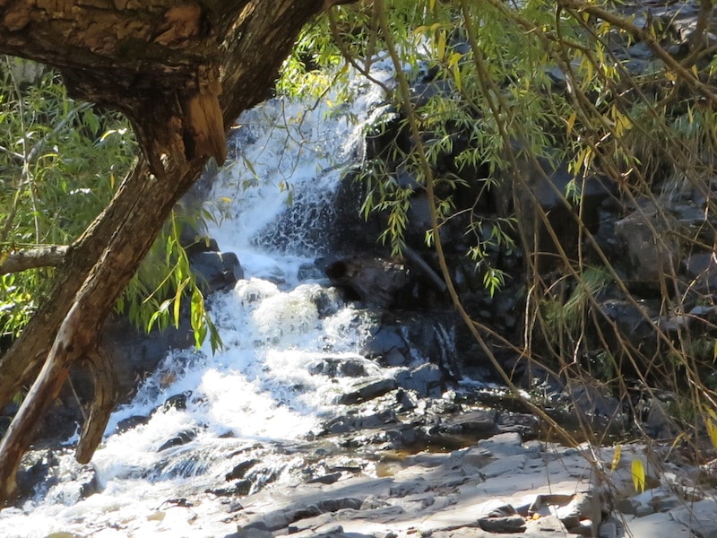 Chester Creek