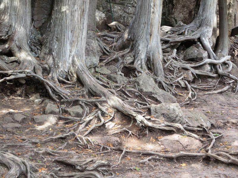 Gooseberry Falls State Park