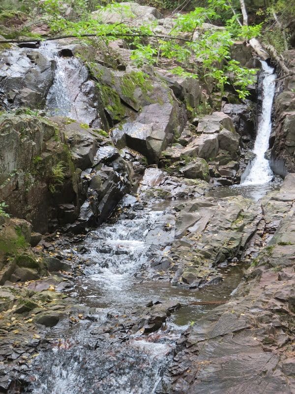 Tischer Creek