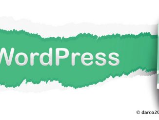 Wordpress Plugins