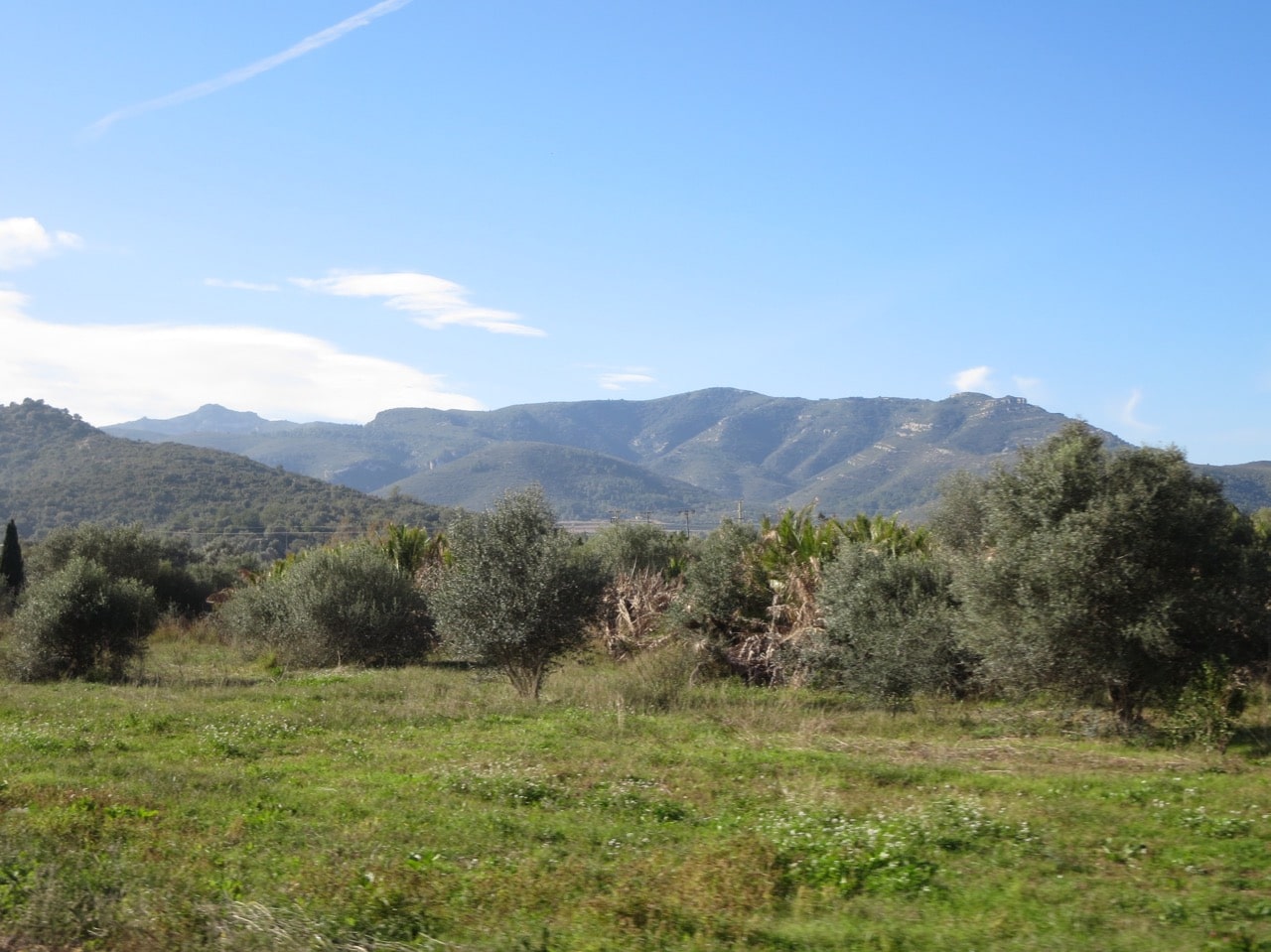 Eine grüne Landschaft im Hintergrund Berge