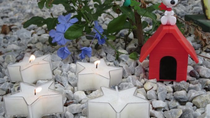 dritter-advent Fröhlichen dritten Advent