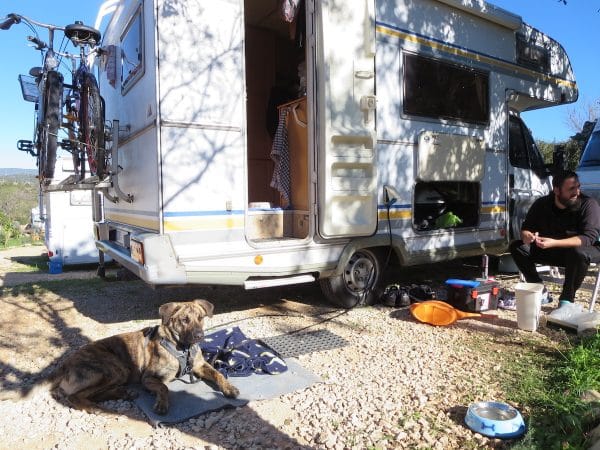 Ein Hund liegt vor einem Wohnmobil vor dem ein Mann sitzt