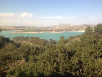 Blick über Wälder auf einen See
