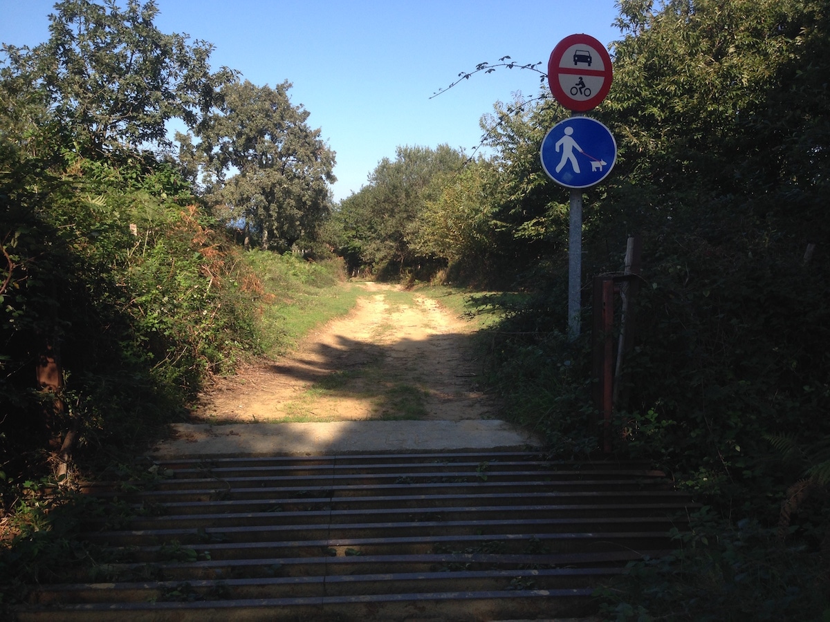 Ein Weg mit links und recht etwas Wiese und Hecken, davor ein blaues Schild mit einem Hund an der Leine und darüber eines mit einem Verbot für jegliche Fahrzeuge