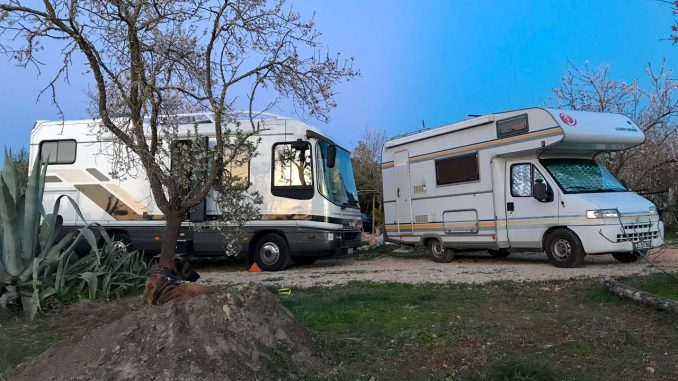 Ein ClouLINER steht hinter einem EuraMobil vor blauem Himmel im Vordergrund ein blühender Mandelbaum und ein Hund, der auf einem Sandhaufen liegt