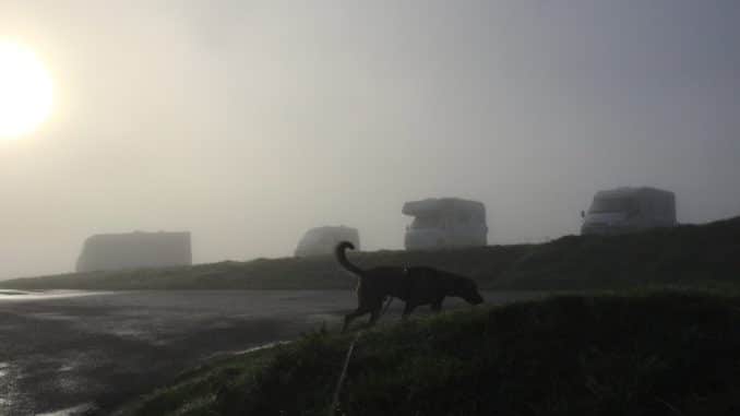 Die Sonne scheint durch den Nebel, schattenhaft sind ein Hund und dahinter Fahrzeuge zu sehen