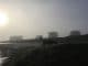 Die Sonne scheint durch den Nebel, schattenhaft sind ein Hund und dahinter Fahrzeuge zu sehen