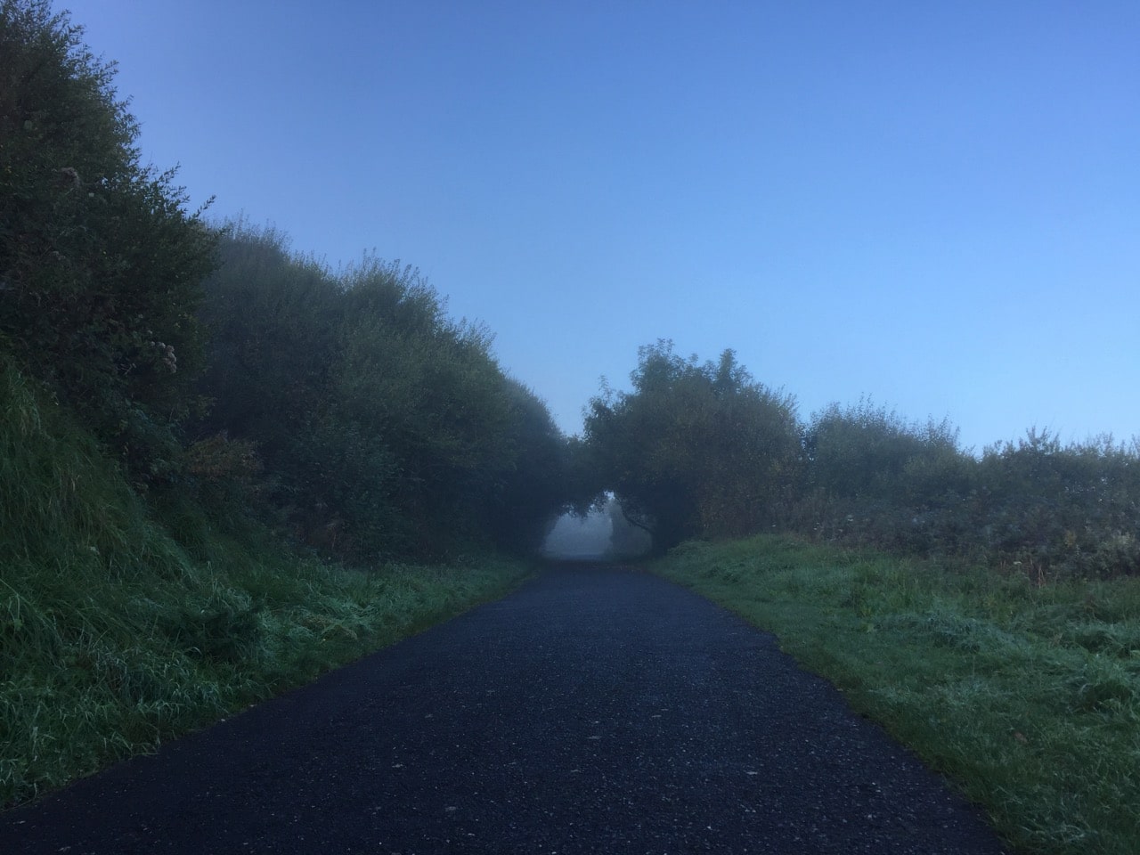 Ein Weg liegt im Nebel