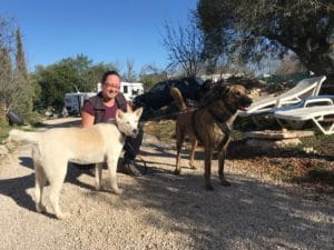 Links eine Husky-Hündin, rechts ein Portugiesischer Herdenschutzhund dazwischen hockt eine Frau und dahinter stehen Wohnmobile