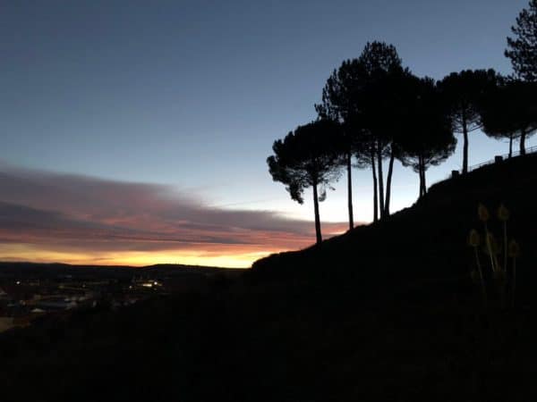 Blick auf einen Berg mit Bäumen und einen Sonnenaufgang