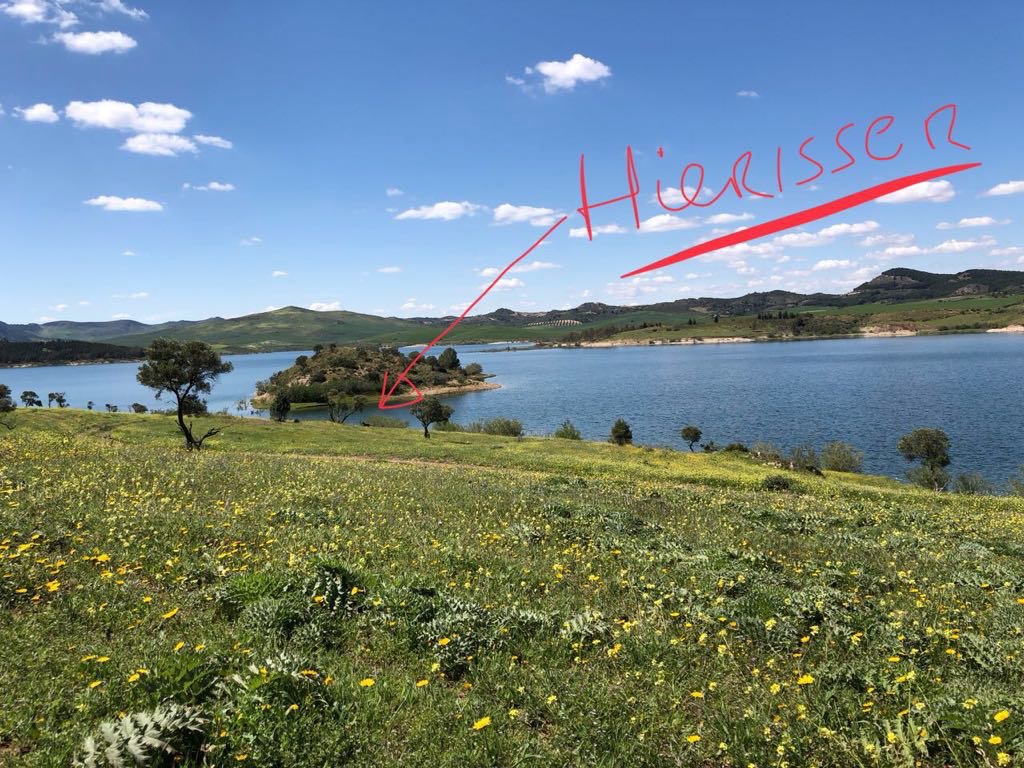 Eine Wiese mit See und einem geschriebenen "Hier isser"